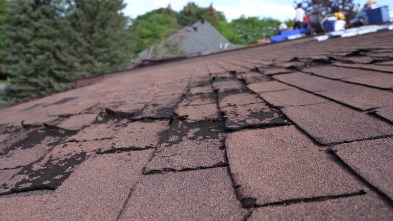 Best Roof Leak Repair  in Upper Arlington, OH